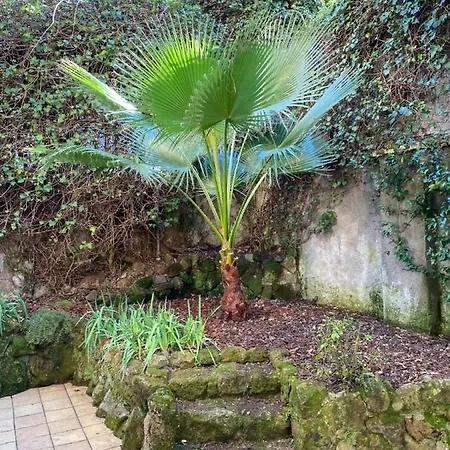 Appartement Trastevere Oasi Garden Rome